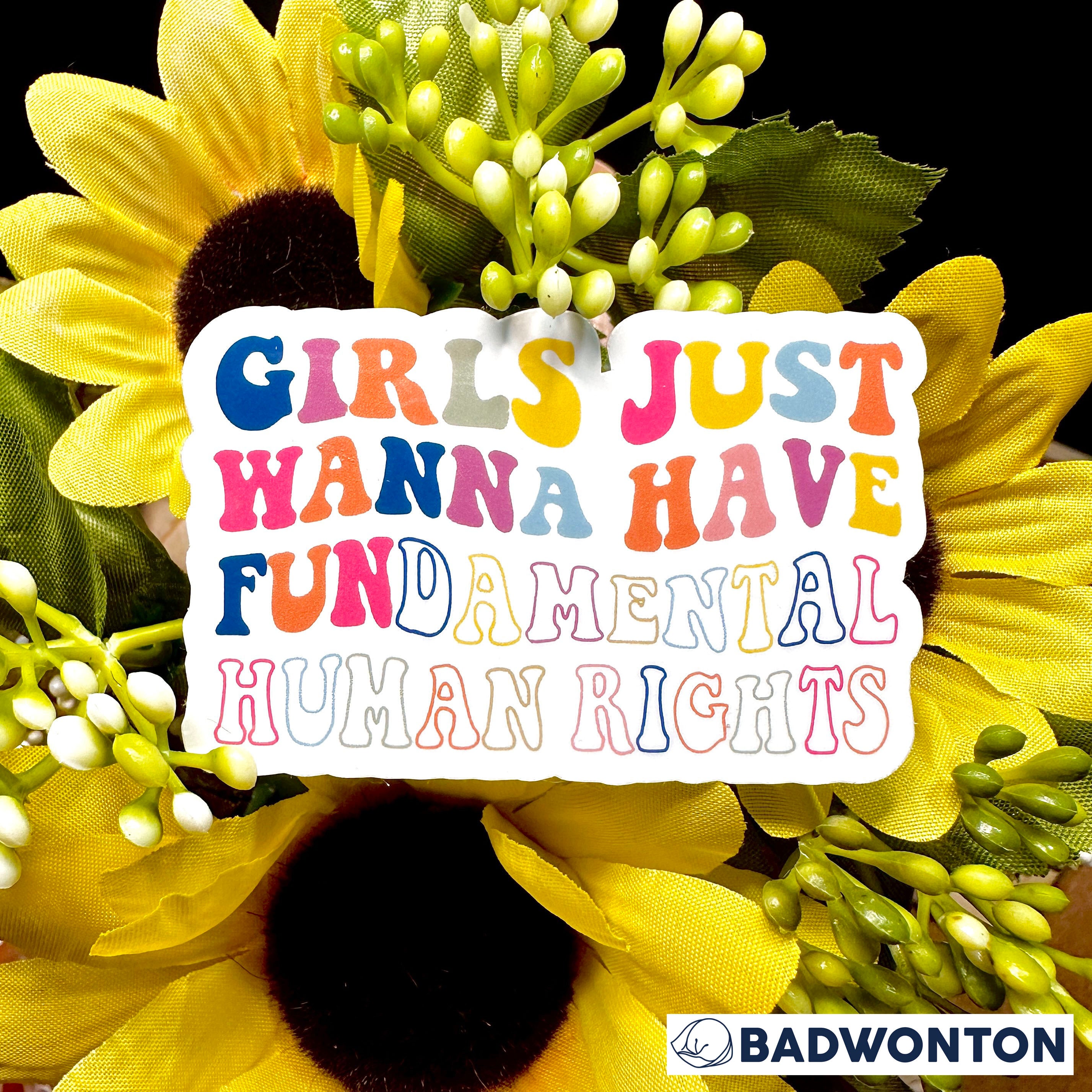Fundamental Rights Sticker Girls Just Want To Have Fundamental Human Rights sticker – badwonton